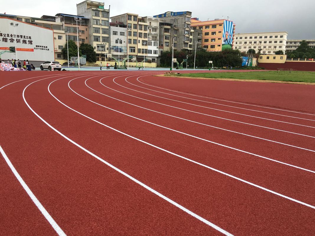 娄底市EPDM颗粒塑胶跑道材料 - 排名